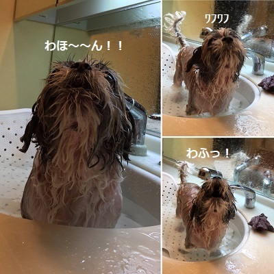 今日の王子と読んだ本。_f0372998_23232913.jpg