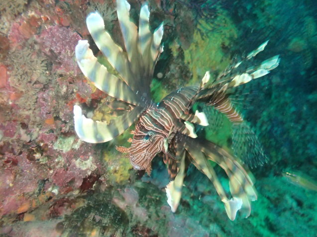 e0115199_14211583.jpg