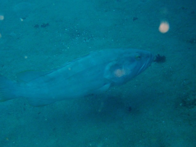 e0115199_14340087.jpg