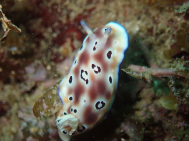 e0115199_14375656.jpg