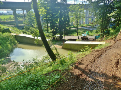 c0336902_21581513.jpg