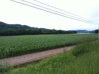 b0040606_225838.jpg