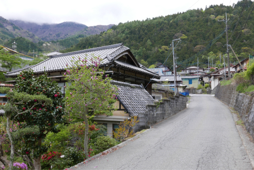 天界の村を歩く２ 関東山地 富士川_d0147406_16585501.jpg