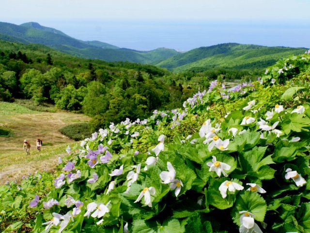 2019年5月24日(金)、25日(土）　　手稲山(標高1,023 m)_a0345007_07471523.jpg