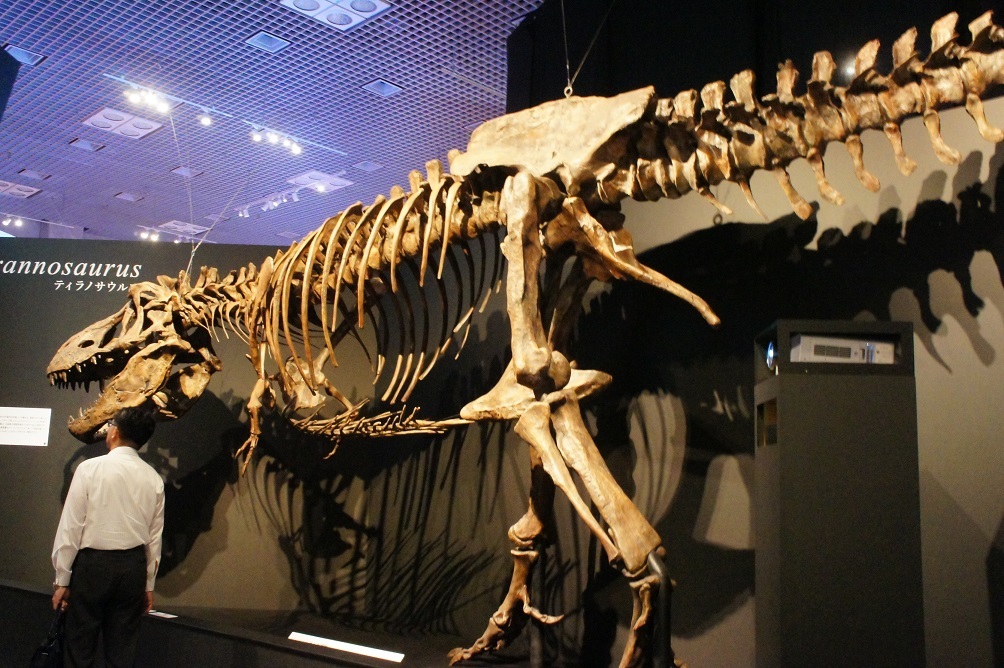 b0112909_10475028.jpg