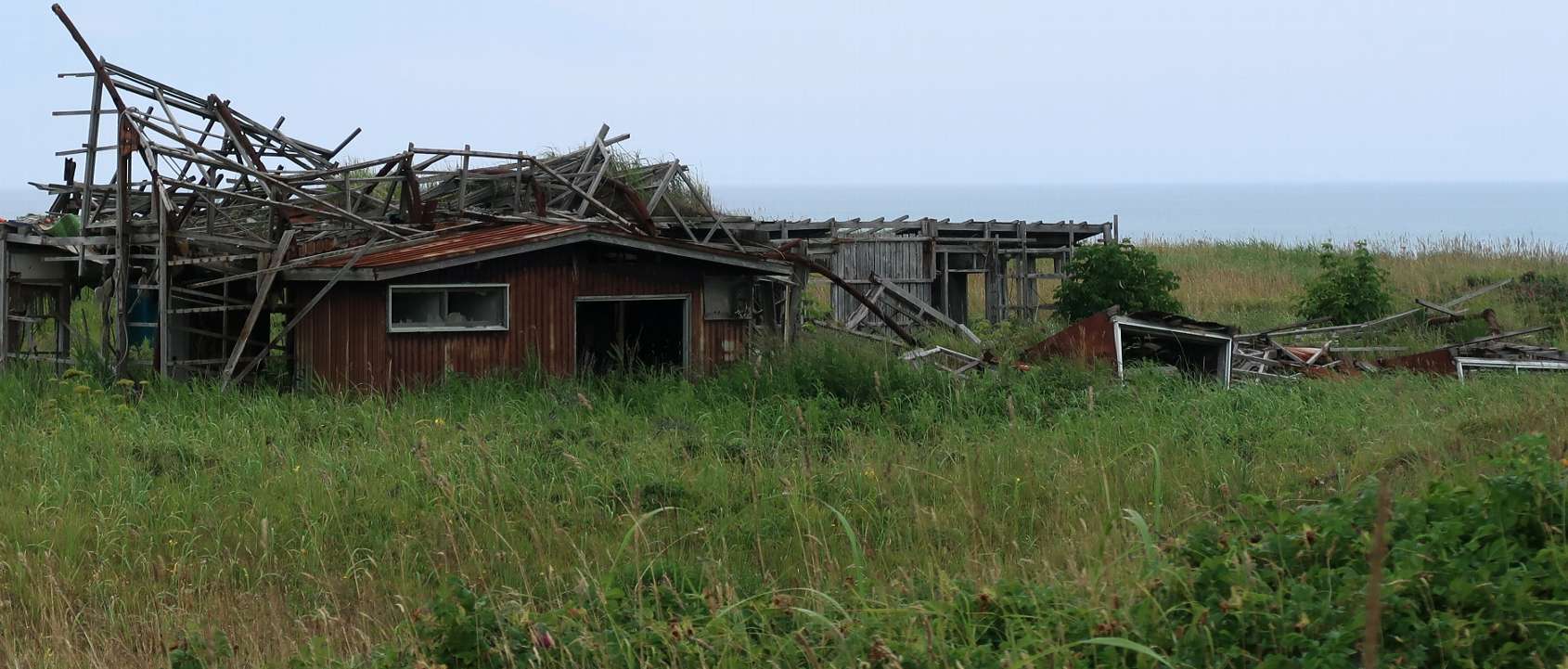 e0003910_17123321.jpg