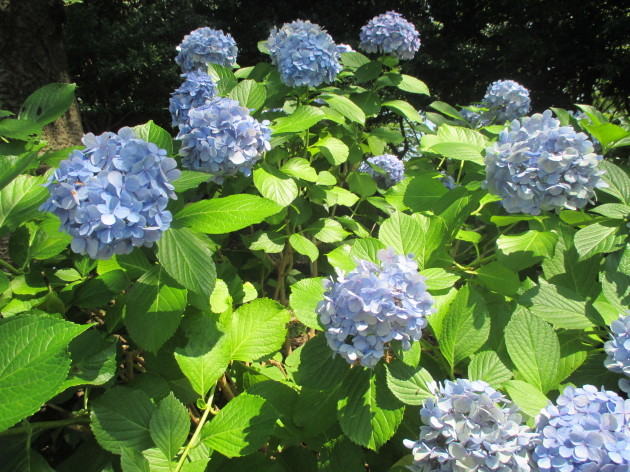 b0183111_08115282.jpg