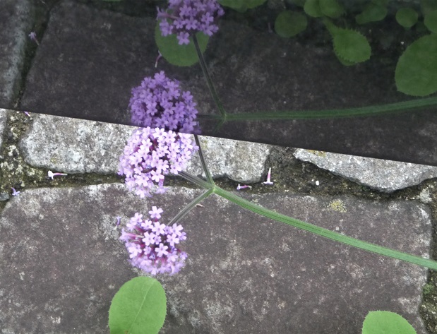 c0202113_14362711.jpg