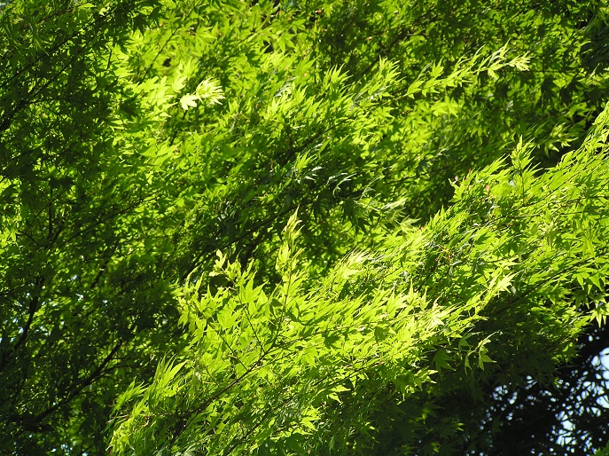 c0202113_14413758.jpg