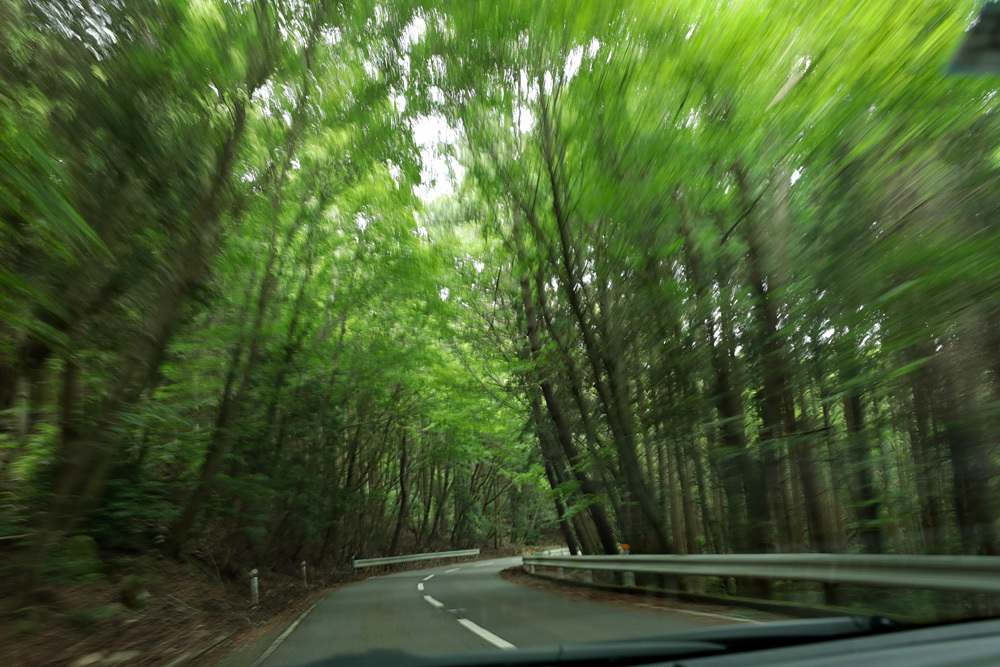 d0011713_08315983.jpg