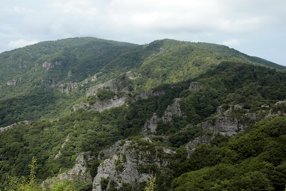 d0011713_08330006.jpg