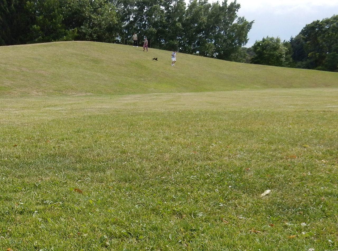 c0025115_21561959.jpg