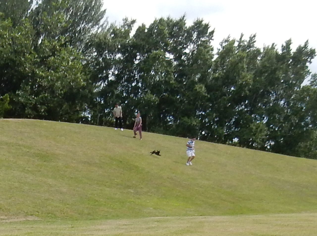 c0025115_21562724.jpg