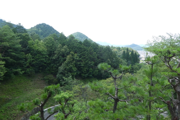 我が家近くの山　芥見権現山(316.5M)　登頂 編_d0170615_21122887.jpg