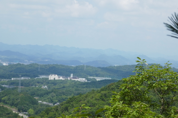 我が家近くの山　芥見権現山(316.5M)　登頂 編_d0170615_21124332.jpg