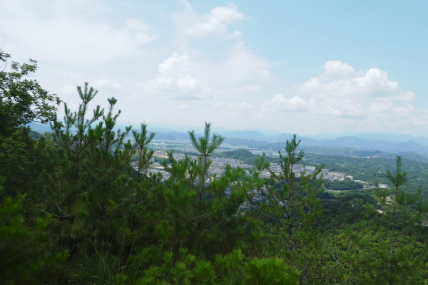 我が家近くの山　芥見権現山(316.5M)　登頂 編_d0170615_21125823.jpg