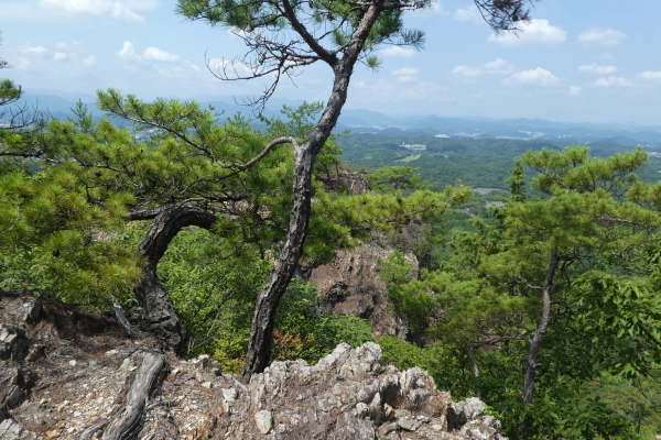 我が家近くの山　芥見権現山(316.5M)　登頂 編_d0170615_21132397.jpg