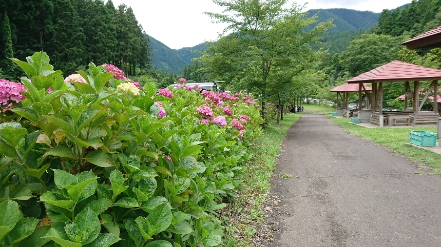 d0119417_11252083.jpg