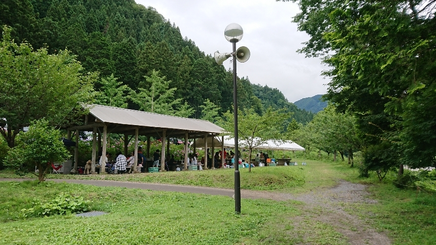 d0119417_11263718.jpg