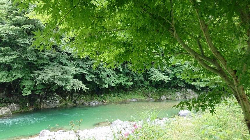 d0119417_11265042.jpg