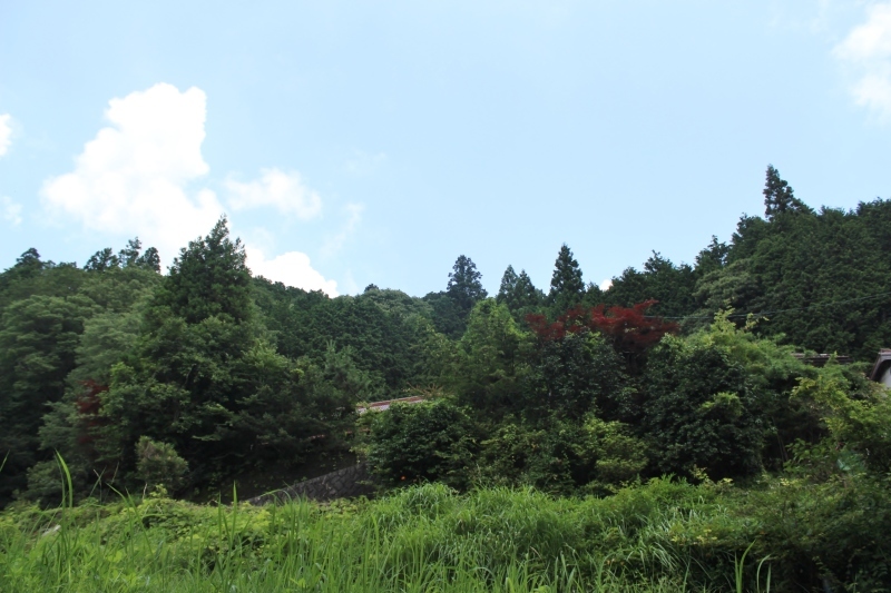 のんびり、たのしいヒトトキ_b0220318_10012369.jpg