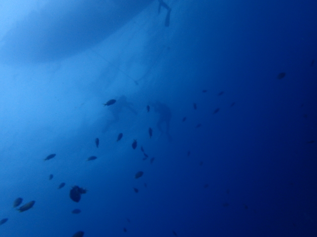 c0115421_20271673.jpg