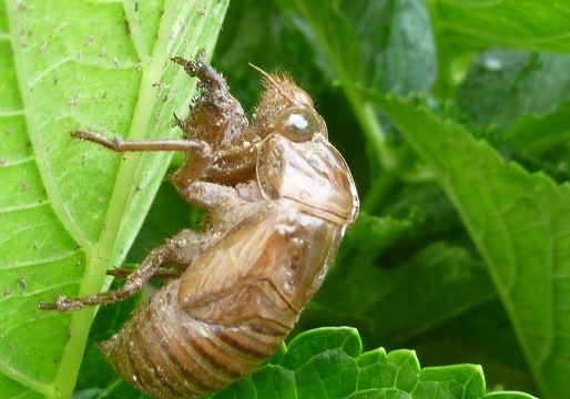 f0000521_07480890.jpg
