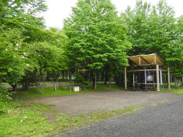今週末の天気と気温(2019年7月18日):まだまだ肌寒い日が続いています_b0174425_22471672.jpg