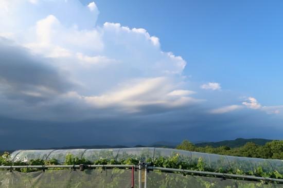 ブルーグレーの空_d0336530_09220455.jpg