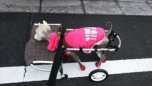 道の駅よしおか温泉へ向けて出発_b0080342_09293005.jpg