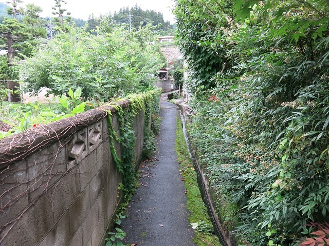 e0345845_16050635.jpg