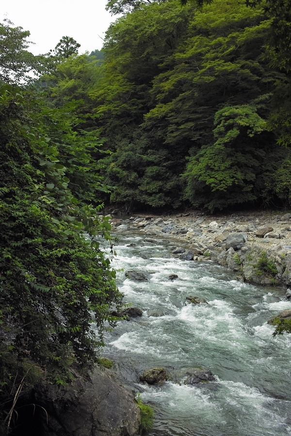 f0254247_14032621.jpg