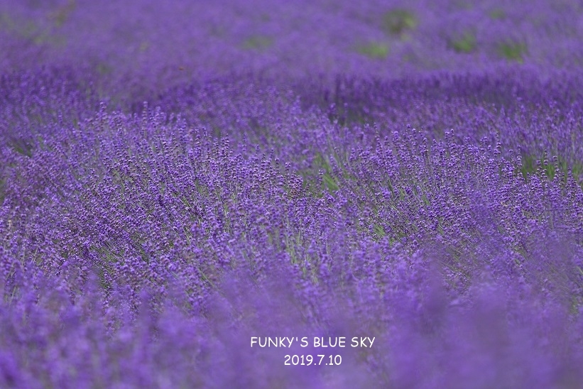c0145250_08392041.jpg