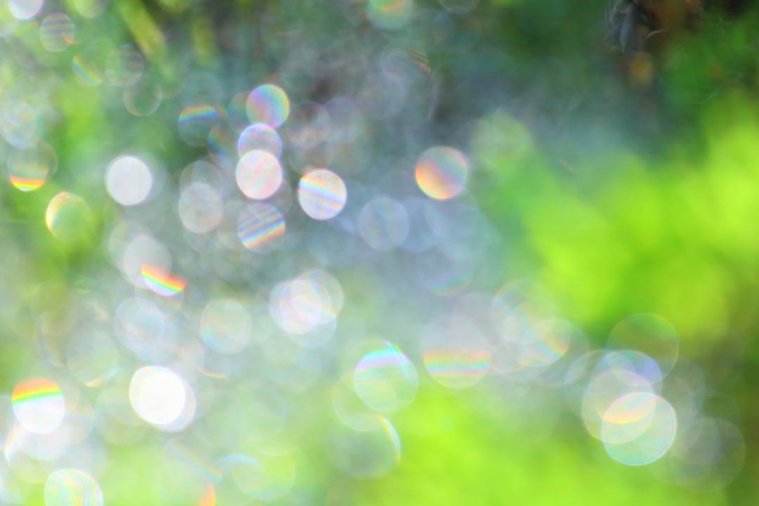 e0403850_13180422.jpg