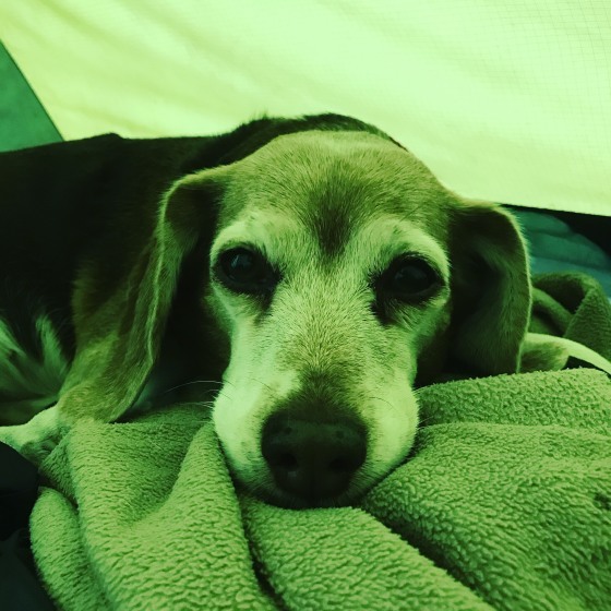 f0046250_17404015.jpeg