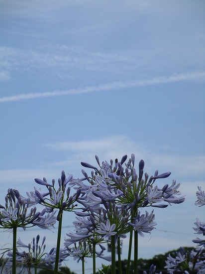 c0327752_15572786.jpg