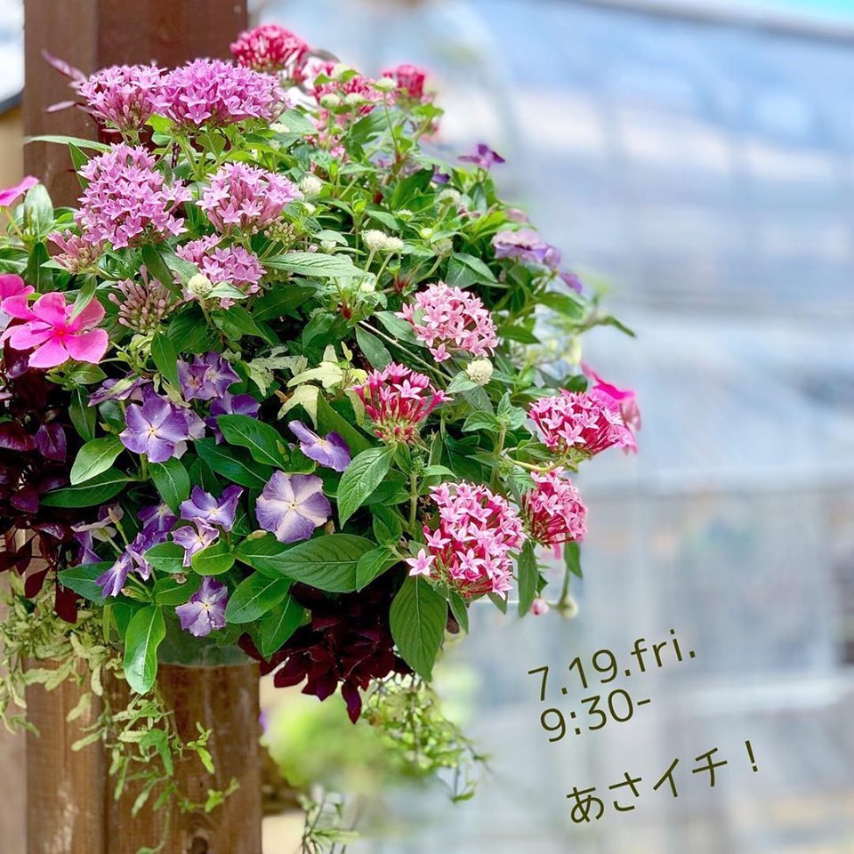 今月2回目のあさイチ!!_f0220152_17153304.jpg