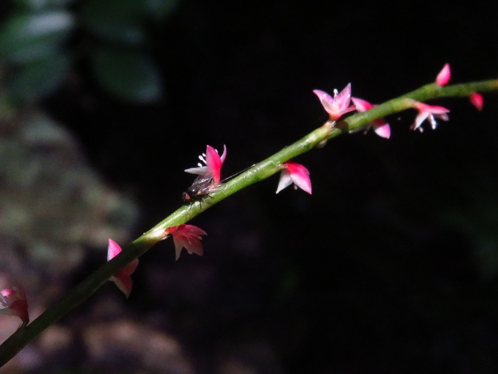 a0018655_08540266.jpg