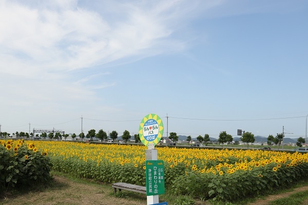 b0328557_22031867.jpg