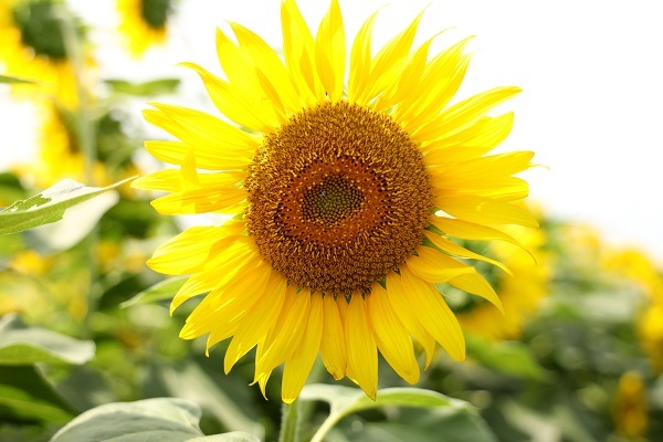b0328557_22032750.jpg