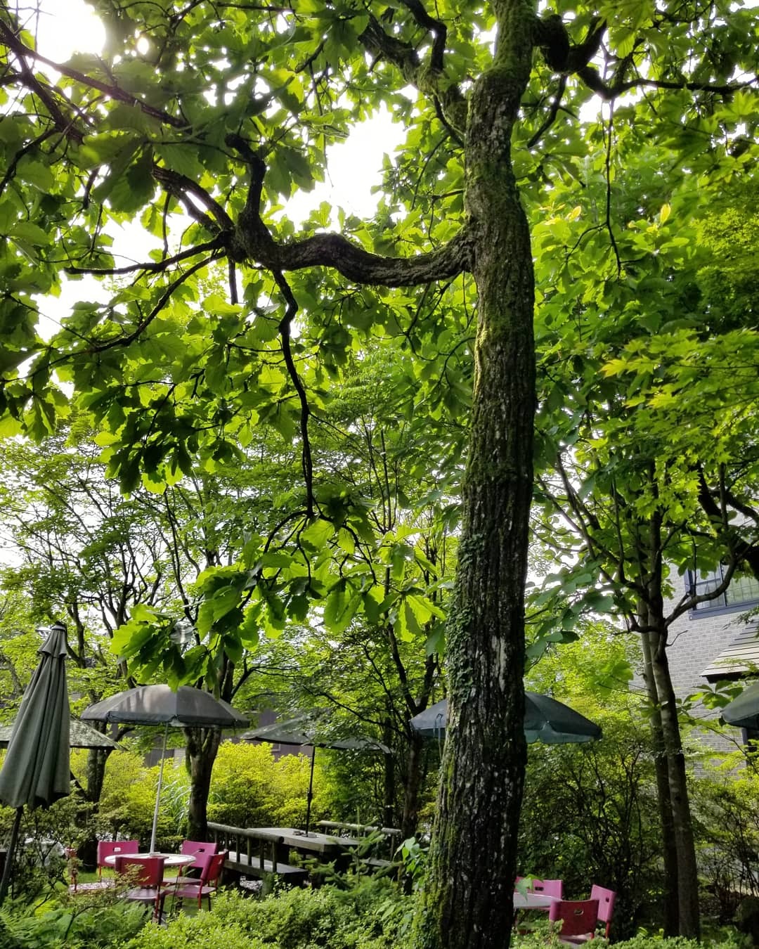 f0236260_23473098.jpg