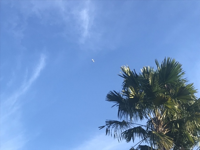 LCCでタイドンムアン空港へ_b0100062_14000246.jpeg