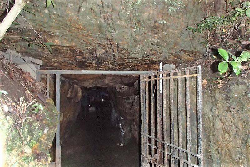b0044663_16252337.jpg