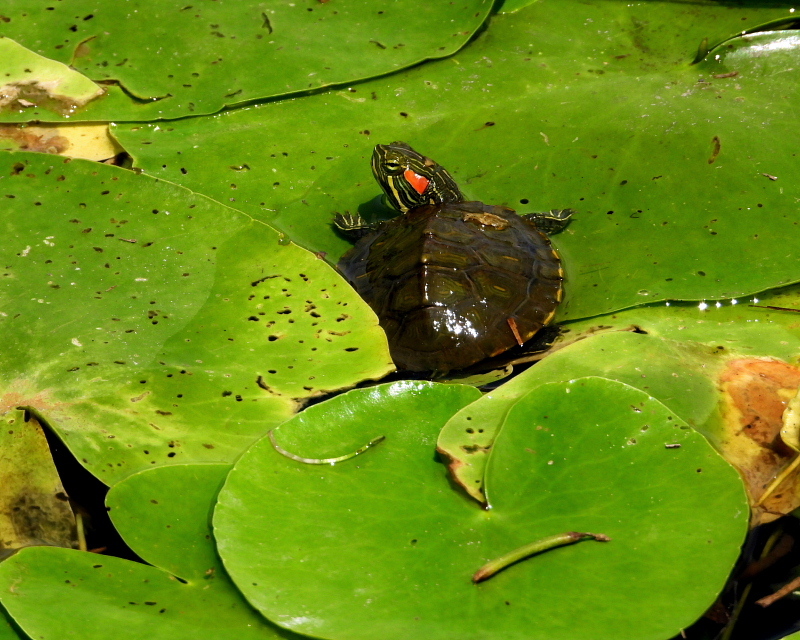 c0305565_17381292.jpg