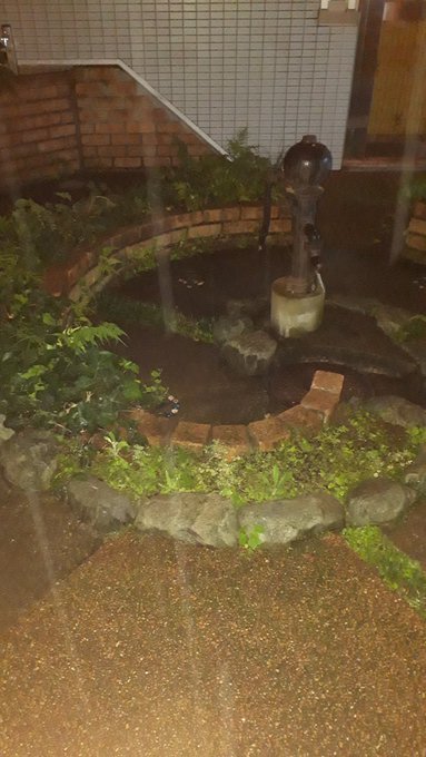茅場町よるさんぽ:第一銀行と八丁堀地蔵橋(玉鳳寺のおしろい地蔵)、大バク天心霊SPの思い出、浅草ふらり:20190718twitterまとめ_b0116271_17340282.jpg