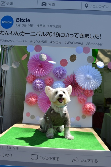 b0242873_23572331.jpg