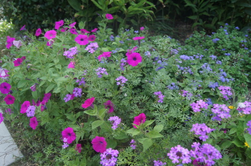 e0181373_20273040.jpg