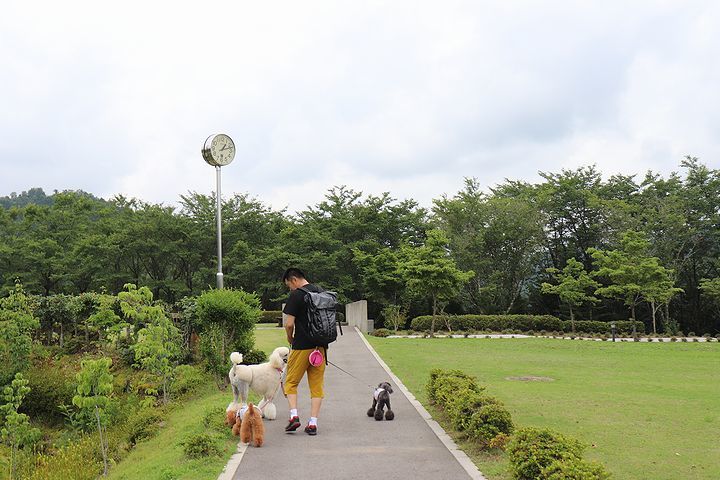 杉原千畝記念館。_b0111376_16223492.jpg