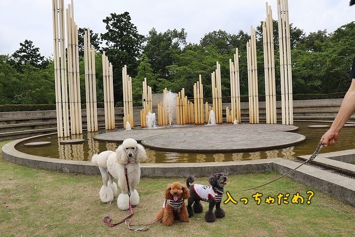 杉原千畝記念館。_b0111376_16314225.jpg