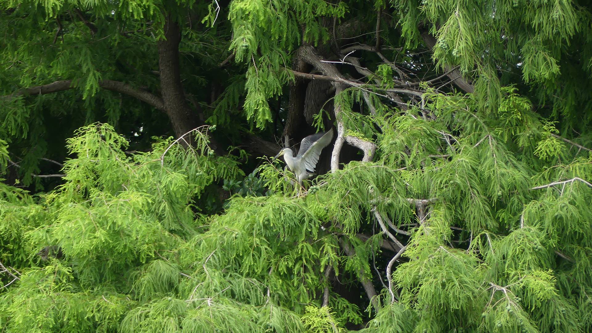 a0185081_13541110.jpg